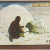 Ice House.