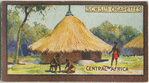 Central African hut.
