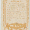 Goshawk.