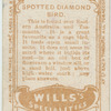 Spotted Dimond Bird.