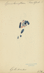 Germany, 1811-1812