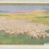 Sheep farming.