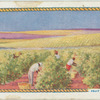 Fruit farming.