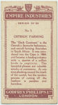 Ostrich farming.