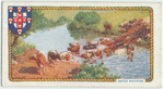 Cattle ranching.