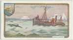 Whale fishing.