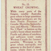 Wheat growing.