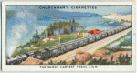 The wheat harvest train, C.N.R. [Canadian National Railway].