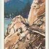 Cutting a new line on the C.P.R. [Canadian Pacific Railway].