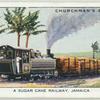 A sugar cane railway, Jamaica.