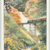 Stony Creek Falls and Bridge, North Queensland.
