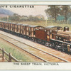 The sheep train, Victoria.