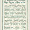 Blast furnace, Manchester.