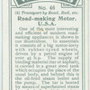 Road-making motor, U.S.A.