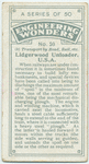 Lidgerwood unloader, U.S.A.