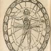 Typus Sympathicus Microcosmi cum Megacosmo.