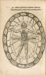 Typus Sympathicus Microcosmi cum Megacosmo.