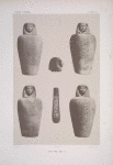 XVIIIe dyn[astie]: Apis II, [mort sous Amentouonkh]