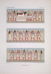 XVIIIe dyn[astie]: Apis III, [mort sous Horus]