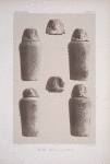 XVIIIe dyn[astie]: 1. Apis III, 2-6. Apis IV, [morts sous Horus]