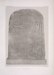 XIXe dyn[astie]: Apis IV, [mort l'an 30 de Ramsès II]