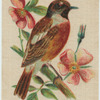 Stone Chat.