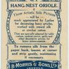 Hang-nest Oriole.