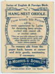 Hang-nest Oriole.