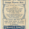 Orange Weaver Bird.