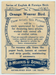 Orange Weaver Bird.