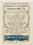 Common Blue Tit.