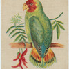 Red Headed Love Bird.