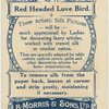 Red Headed Love Bird.