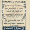 Paradise Tanager.