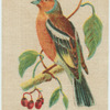 Chaffinch.