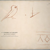 1st pyramide of Ghizeh, Wellington's chamber. Marks (drawn full size) on east end, near the north-east corner.