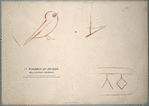 1st pyramide of Ghizeh, Wellington's chamber. Marks (drawn full size) on east end, near the north-east corner.