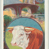 Brecknockshire.