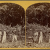 Visits in the forest, Chipigana.
