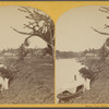 Banks, Tuyra River, steam launch.