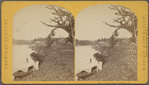 Banks, Tuyra River, steam launch.