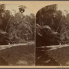 Napipi River, head waters.