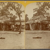 View of native hut.