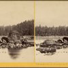 View on the Columbia River, from the O.R.R. Cascades.