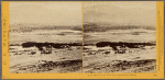 Indian ranch on the Columbia, during salmon fishing.