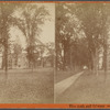 Elm arch and library, Andover, Mass.