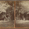 Cottage, Hamilton.