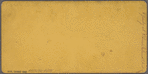 A party at Plum Island. [Group playing croquet in front of a house.]