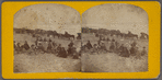 A large party resting on Sailsbury beach, a line of carriages beyond