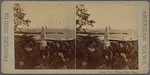 Ocean view, Phillip's Point, Mass.